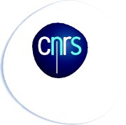 Logo CNRS